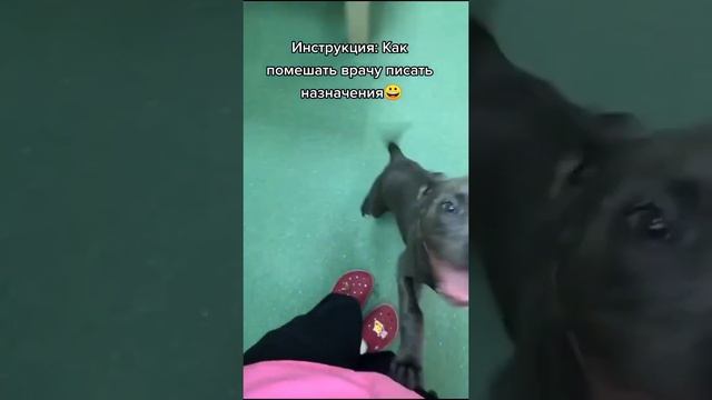 Как помешать врачу писать назначения смотреть онлайн
