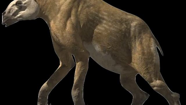Chalicotherium (Walking With Beasts) смотреть онлайн