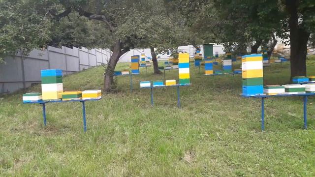 матковыводной точек - краткий обзор смотреть онлайн