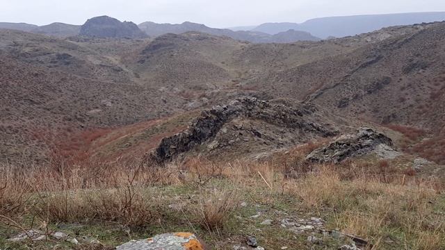 охота кеклик смотреть онлайн