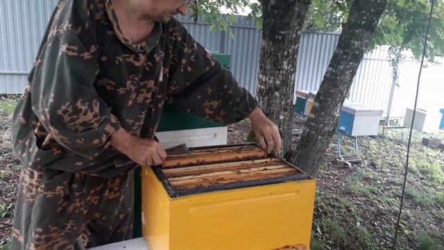 Карника Лунц на тесте и вообще про карнику смотреть онлайн