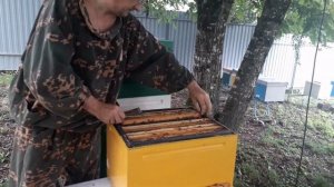 Карника Лунц на тесте и вообще про карнику