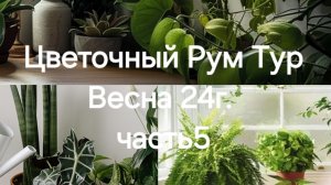 Цветочный Рум Тур ч5