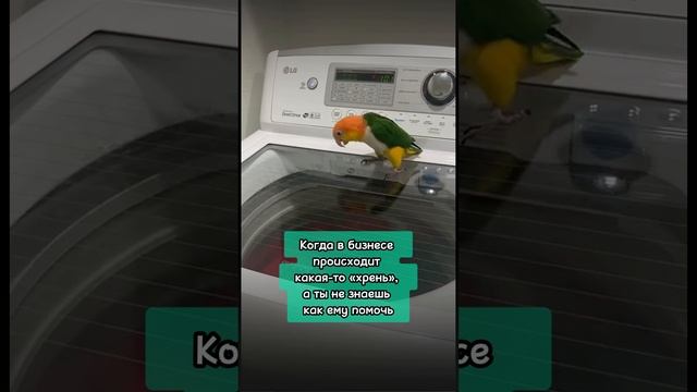 Когда в бизнесе происходит какая-то «хрень», а ты не знаешь что с ней делать 😵💫😵💫😵💫