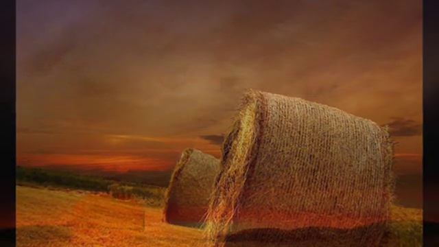 Jacqueline Fuentes ~ Sinuoso Trópico