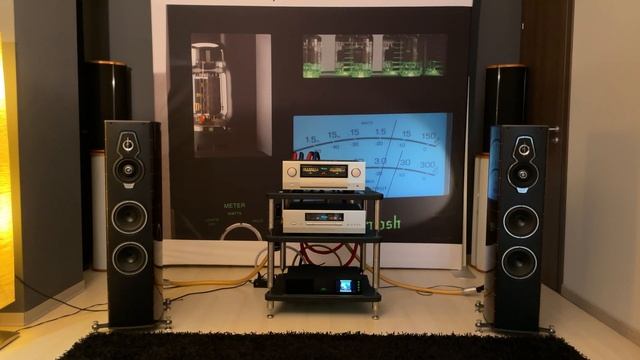 Is This The BEST Audio Setup of 2024 Accuphase & Sonus faber Death of the Bull - Stavros Lantsias смотреть онлайн