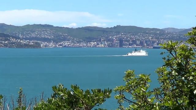 Wellington - Matiu/Somes Island and Mount Victoria смотреть онлайн