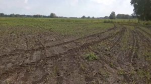 Торопимся сеять рожь. #26 Потянет МТЗ-82 две сеялки?