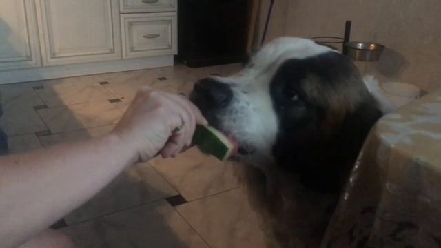 А вы любите арбузы смотреть онлайн