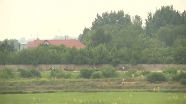 Скачки №7 на лошадях 3-х лет