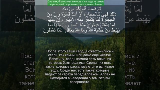 Коран Сура Аль-Бакара | 2:74 | Чтение Корана с русским переводом | Quran Translation in Russian смотреть онлайн
