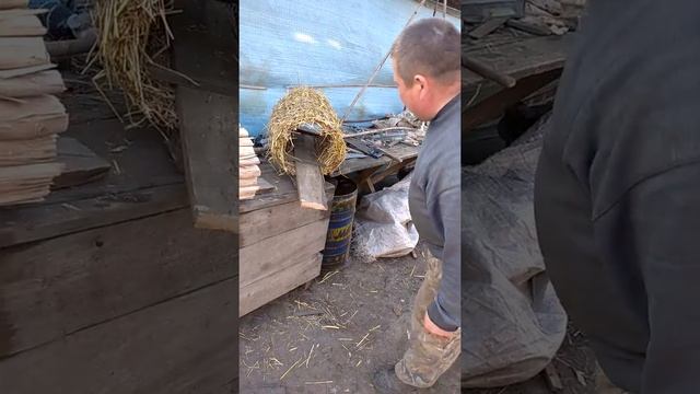 Робимо гнізда для диких качок🦆🦆🦆🦆 смотреть онлайн