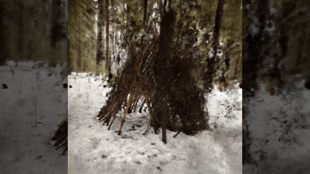 Шалаш в лесу.