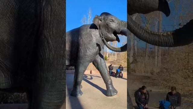 Huge Mammoth 🦣 | Henry Doorley Zoo | Omaha Nebraska смотреть онлайн