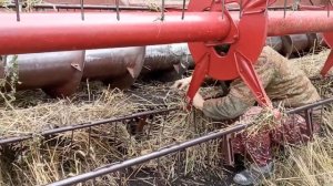 Мой последний, но не последний день уборочной №35