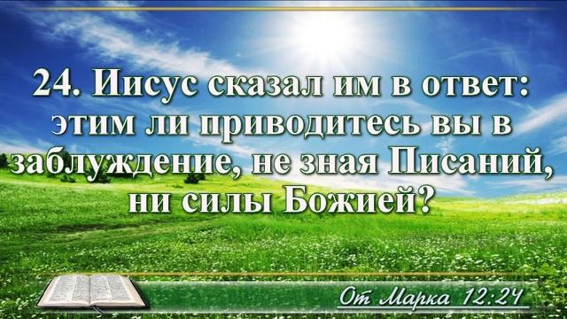 ВидеоБиблия Евангелие от Марка с музыкой глава 12 драматизированный перевод смотреть онлайн