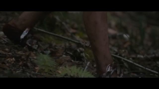 В плену стихии /Lost on a Mountain in Maine/ 2024 смотреть онлайн
