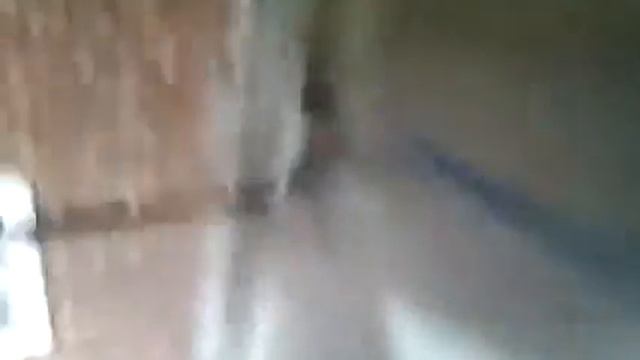 пес дурак) смотреть онлайн