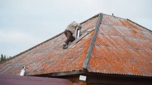 К ЗИМЕ ГОТОВЫ! ЗАПУСТИЛИ НОВУЮ ПЕЧЬ В ДОМЕ | НА ЗАИМКЕ НОВЫЙ ЖИТЕЛЬ | ЗАМАРИНОВАЛИ КАПУСТУ | ПОДАРОК