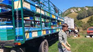 Пасека Алексея Оленцова