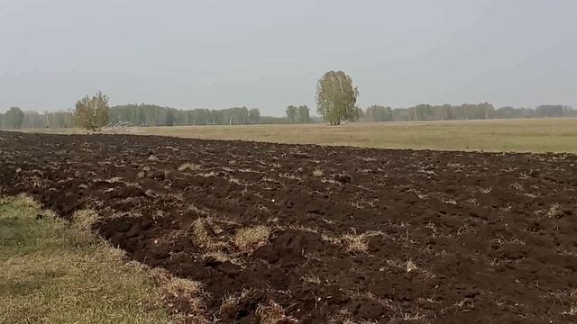 Посев пшеницы, целина и "год сурка" №19 смотреть онлайн