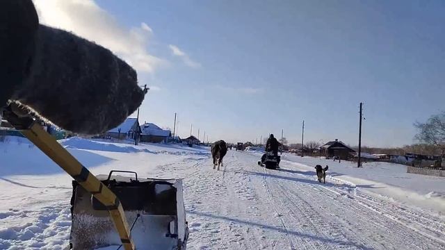 Кто вместо Бакса? Знакомство с нашим племенным ядром #02 смотреть онлайн