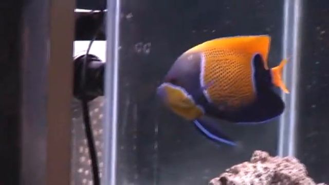 SOLD смотреть онлайн