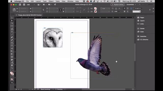 Indesign image color change&blend modes смотреть онлайн