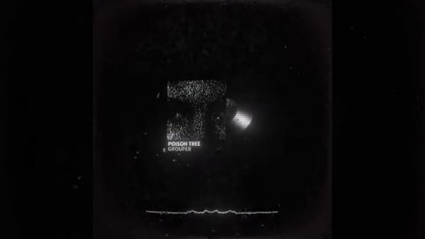 Poison Tree - Grouper