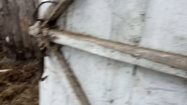 Пристраиваем сарай самым бюджетным способом №43 смотреть онлайн