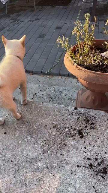 Оставили на 2 мин смотреть онлайн