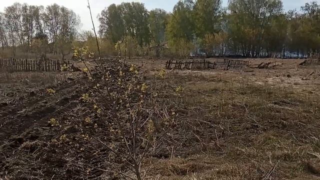 Сгорел дом! Почему горят деревни в России? смотреть онлайн