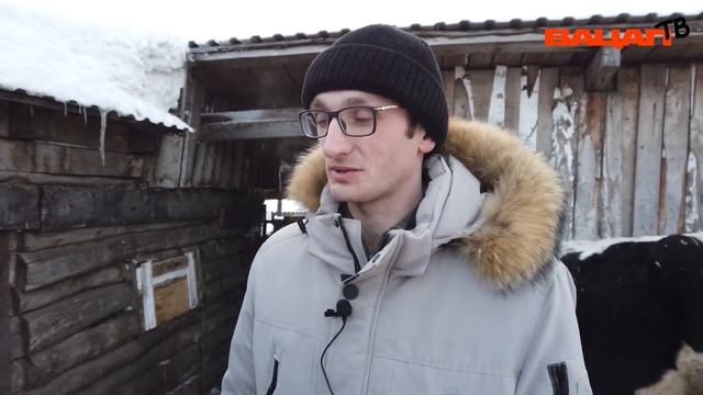 Весёлая ферма оффлайн. Видео от профессиональных журналистов смотреть онлайн