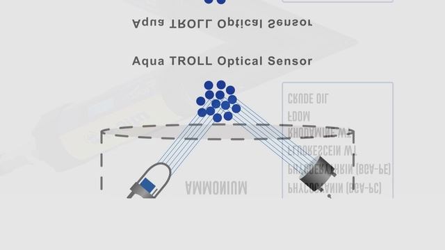 Spot Checking смотреть онлайн