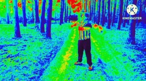 Ура!!!!!!!!! Кеша идет домой Effects (Sponsored By Preview 2 Effects) Reversed