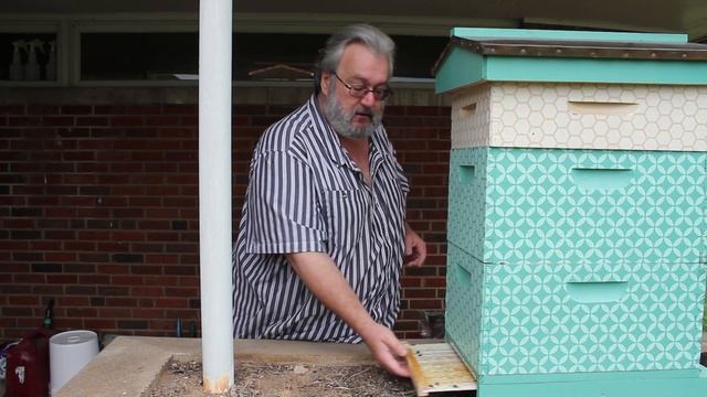 How to check for Varroa Mites смотреть онлайн
