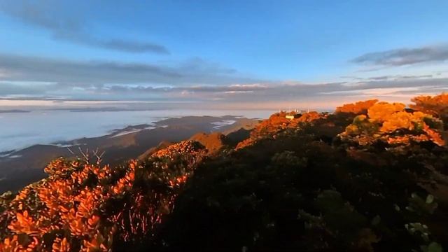 MOUNT TRUSMADI PANORAMA || INSTA 360 CAMERA смотреть онлайн