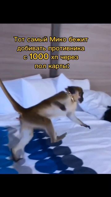 Ну реально достали эти обезьяны. #бравлстарс #тупые обезьяны смотреть онлайн