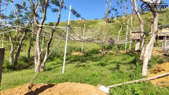 Fresno Agro Forestry and Eco Tourist Campsite | Tanay RIzal | Mt.Kulis смотреть онлайн