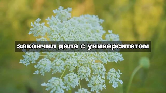 Инна и Макс: история любви, проверенной сомнениями и возрождённой мечтой о музыкальной карьере смотреть онлайн