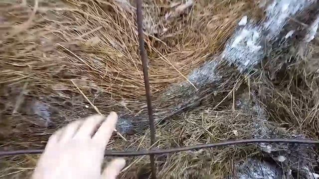 Наш легкий способ кормления сеном. Все плюсы и минусы. смотреть онлайн