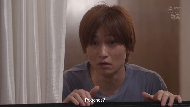 Story of unemployed man met newlyweds neighbor that scared of cockroach in 4K смотреть онлайн