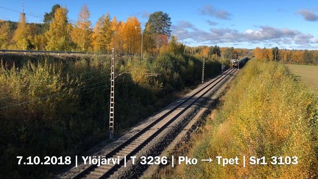 Autumn Trainspotting videos. смотреть онлайн