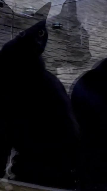 Посмотрел на себя со стороны смотреть онлайн