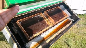 Работа солнечной воскотопки