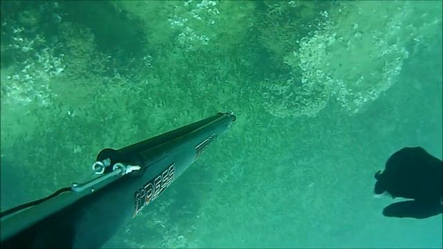 Spearfishing In Cyprus G.Skoullos