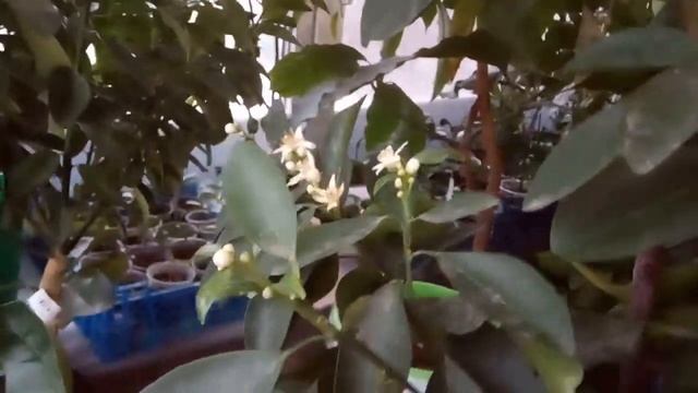 VID 20210205 Размышление на тему..... смотреть онлайн