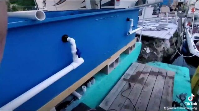 I Put A Window In My 1000 Gallon Poly Tank!!! By Addictive Reef Keeping смотреть онлайн