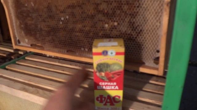 храним сушь в сушехранилище смотреть онлайн