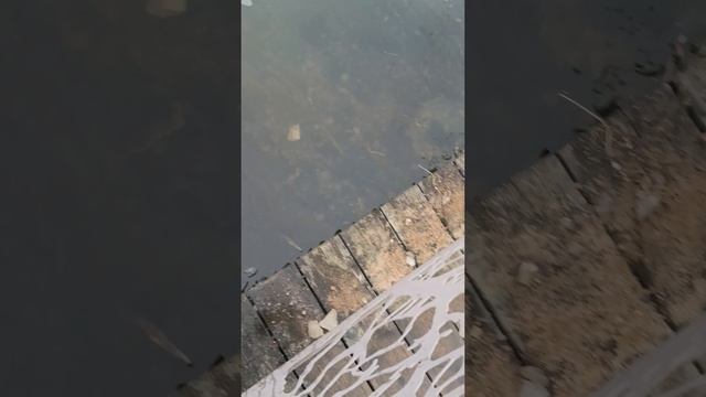 ножки на рыбалке арматуру смотреть онлайн